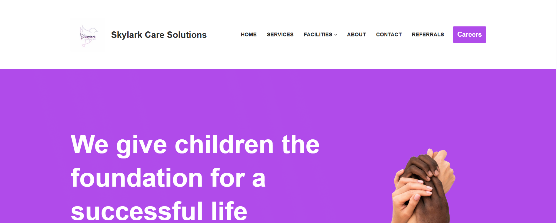 Skylark Care Solutions website